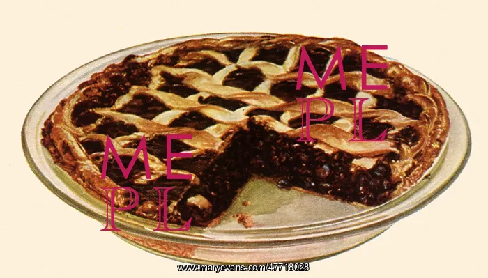 : Mincemeat Pie : Mincemeat Pie