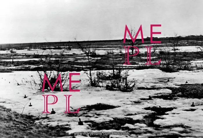 : Minefield at Orjol, 1943 : Minefield at Orjol, 1943