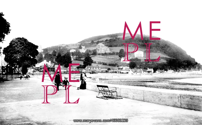  : Minehead, Esplanade 1903