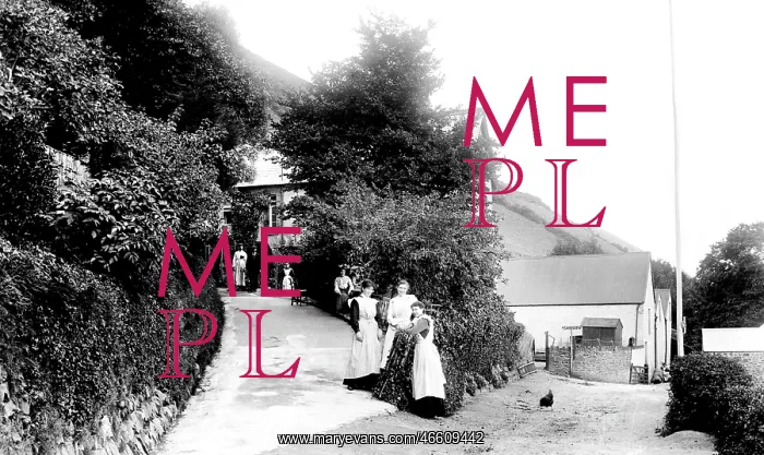  : Minehead, Greenaleigh Farm 1903