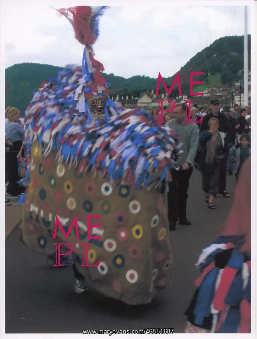 : MINEHEAD HOBBY HORSE : MINEHEAD HOBBY HORSE