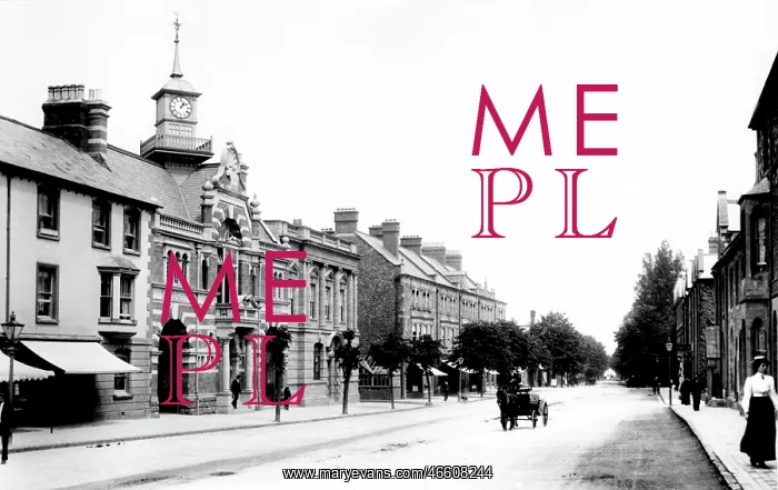  : Minehead, the Parade 1903