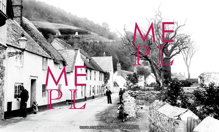  : Minehead, Quay Street 1903