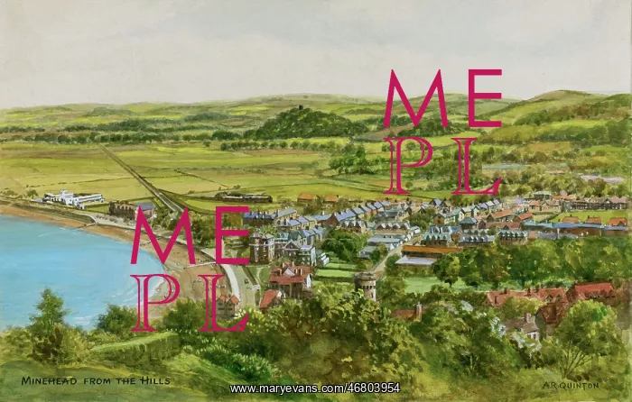 : Minehead, Somerset, viewed from the hills : Minehead, Somerset, viewed from the hills