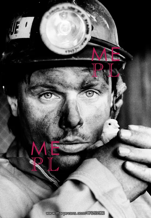 : Miner and canary : Miner and canary