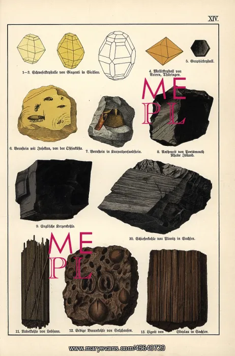 : Mineral varieties including sulphur, mellite, amber and coal : Mineral varieties including sulphur, mellite, amber and coal