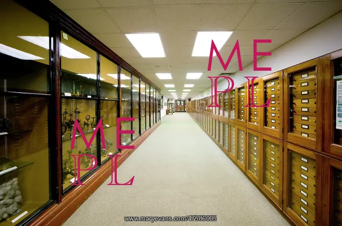 : Mineralogy corridor : Mineralogy corridor