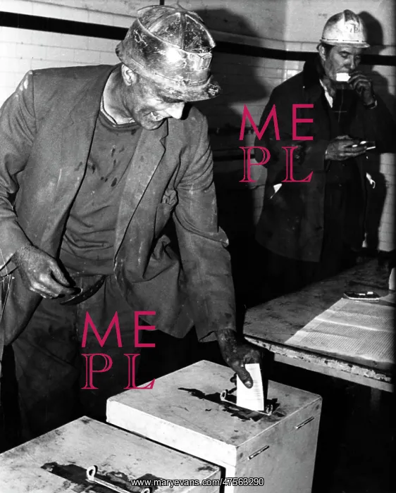  : Miners Ballot