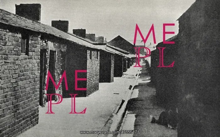 : Miners cottages : Miners cottages