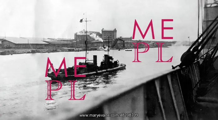  : Minesweeper on the Venta River, 1916