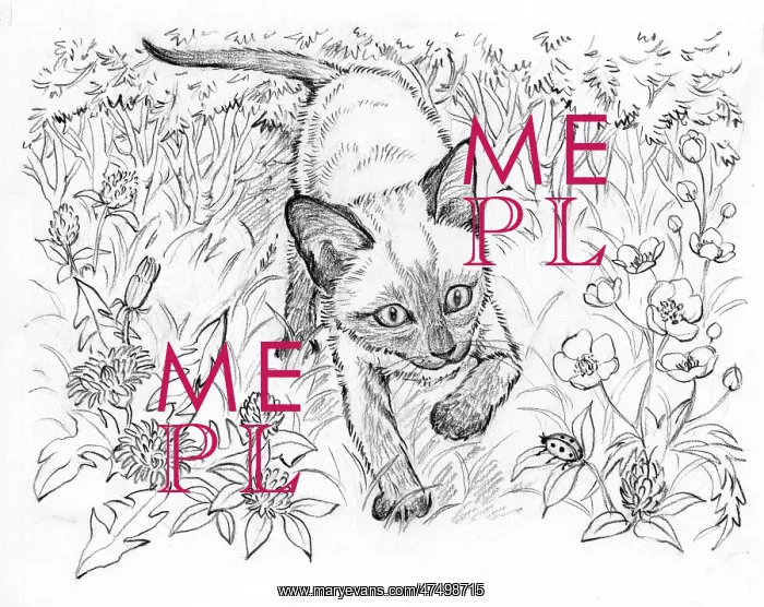 : Ming Meets the Farm Kittens : Ming Meets the Farm Kittens