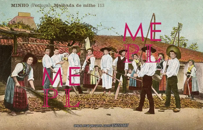 : Minho, Portugal - Corn threshing : Minho, Portugal - Corn threshing