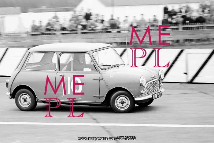 : Mini-Cooper at Goodwood, England : Mini-Cooper at Goodwood, England