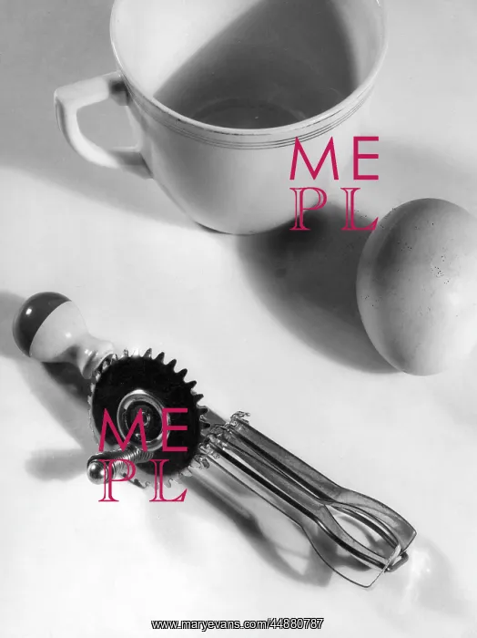 : MINIATURE EGG BEATER : MINIATURE EGG BEATER