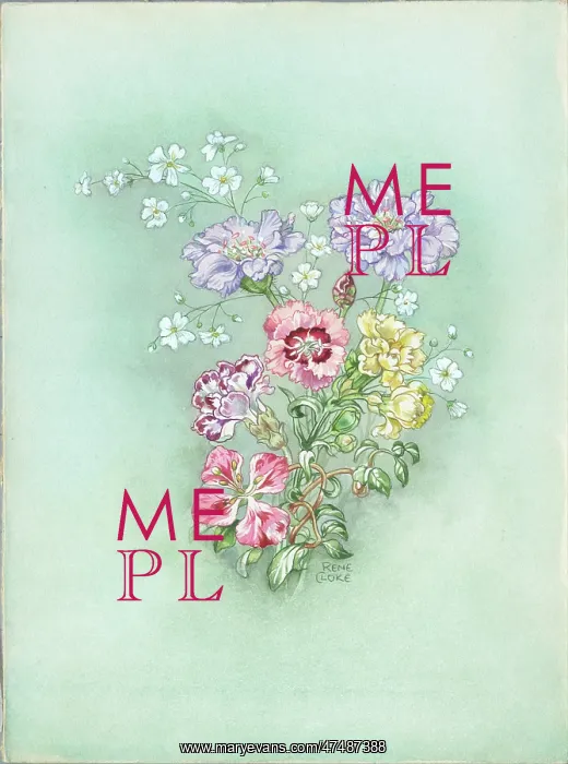  : Miniature pinks, Scabious, Gypsophila etc