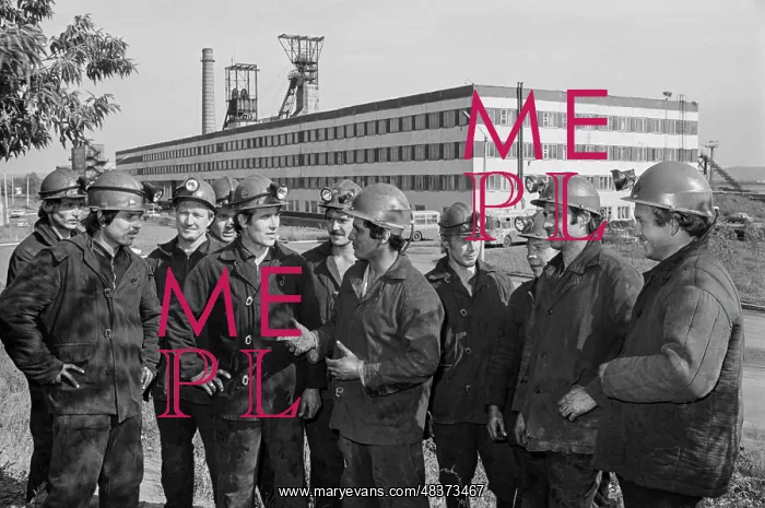 : Mining plant team : Mining plant team
