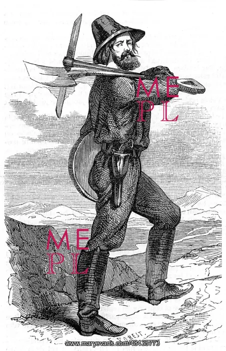 : Mining prospector in the Californian gold fields : Mining prospector in the Californian gold fields