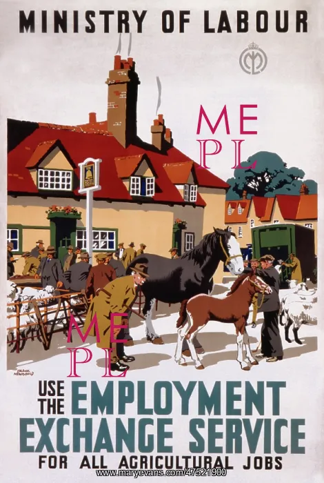 : Ministry of Labour poster : Ministry of Labour poster
