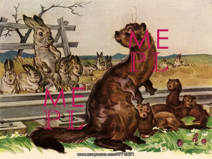  : A Mink with an Attitude