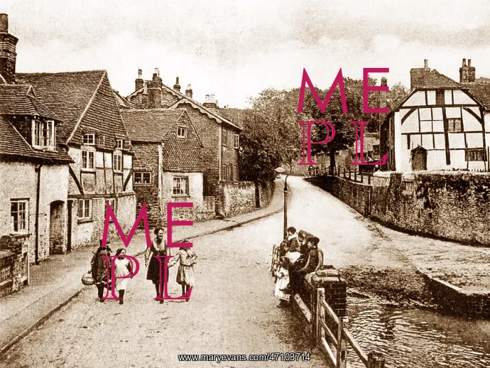  : The Mint, Godalming early 1900s