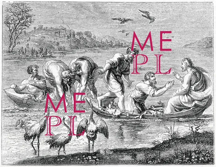 : The Miraculous Draught of Fishes, after Raphael : The Miraculous Draught of Fishes, after Raphael