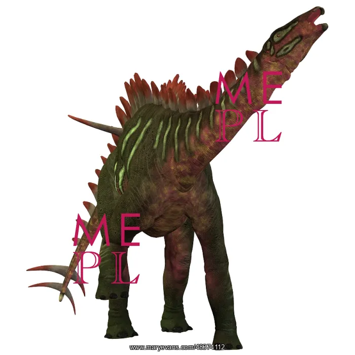 : Miragaia is a genus of stegosaurid dinosaur : Miragaia is a genus of stegosaurid dinosaur