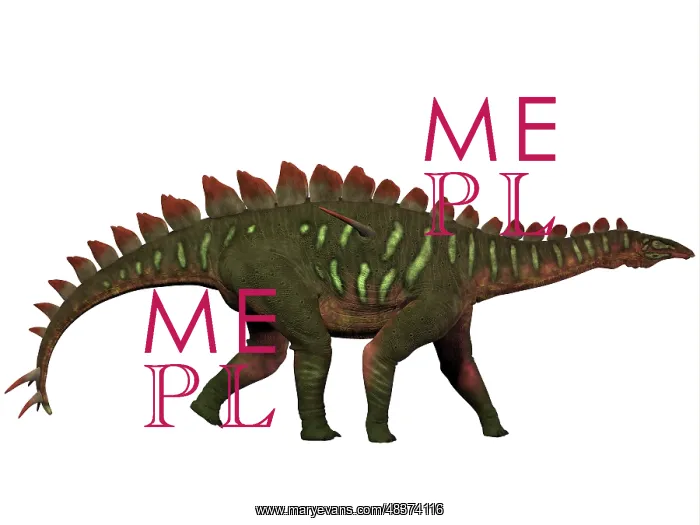 : Miragaia is a genus of stegosaurid dinosaur : Miragaia is a genus of stegosaurid dinosaur