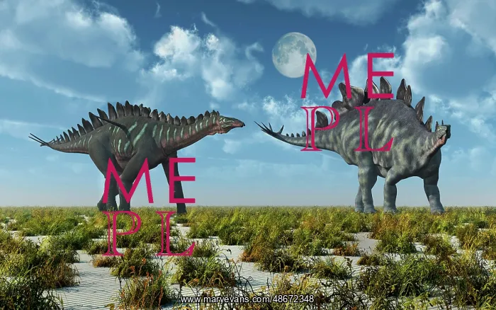 : Miragaia & Stegosaurus dinosaur : Miragaia & Stegosaurus dinosaur