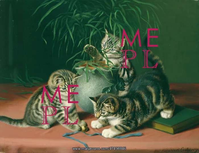 : A Mischievous Party ' three kittens playing : A Mischievous Party ' three kittens playing