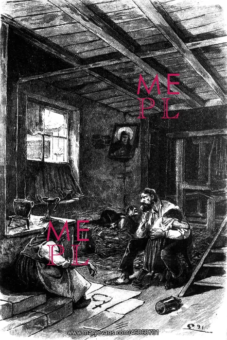  : misery  /  adversity, typhus-infected starving