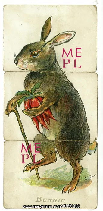  : Misfitz - Bunnie