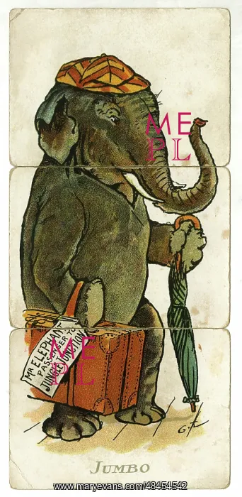  : Misfitz - Jumbo