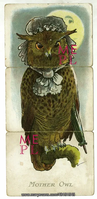  : Misfitz - Mother Owl