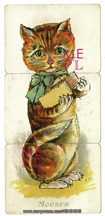  : Misfitz - Mouser