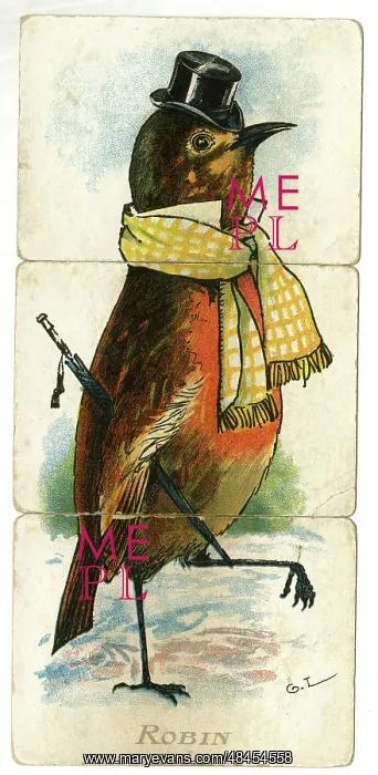  : Misfitz - Robin