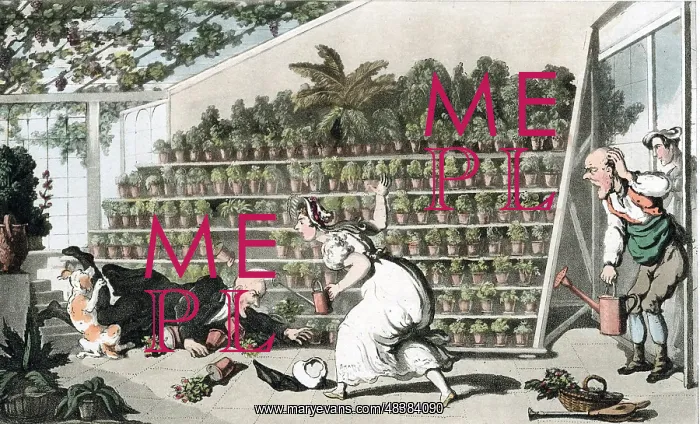 : Misfortune in the Tulip Hall: Thomas Rowlandson : Misfortune in the Tulip Hall: Thomas Rowlandson