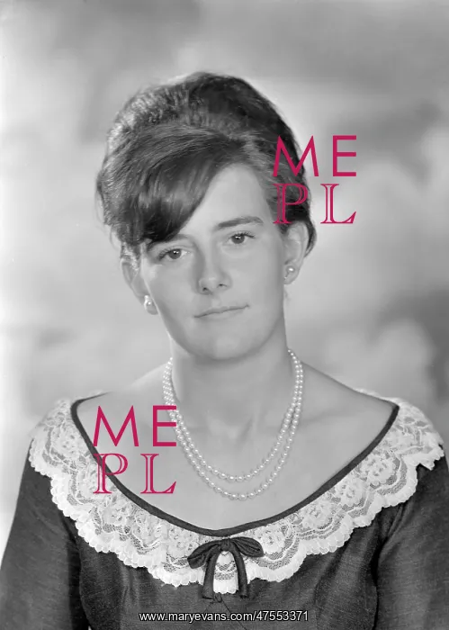  : Miss Bustard