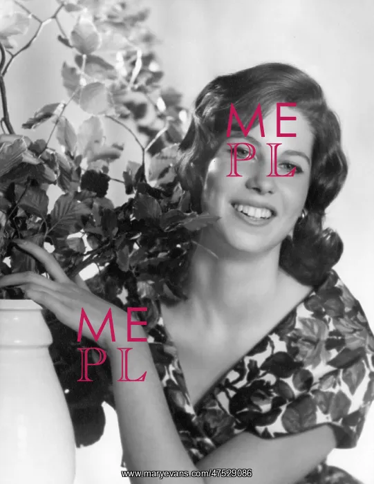  : Miss Honor MacDougal