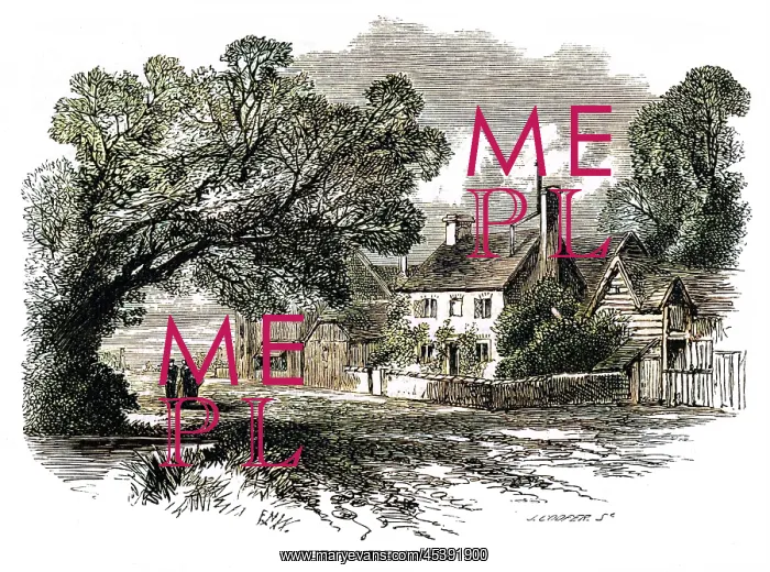 : MISS MITFORD'S HOME : MISS MITFORD'S HOME