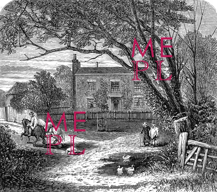  : MISS MITFORD'S HOME