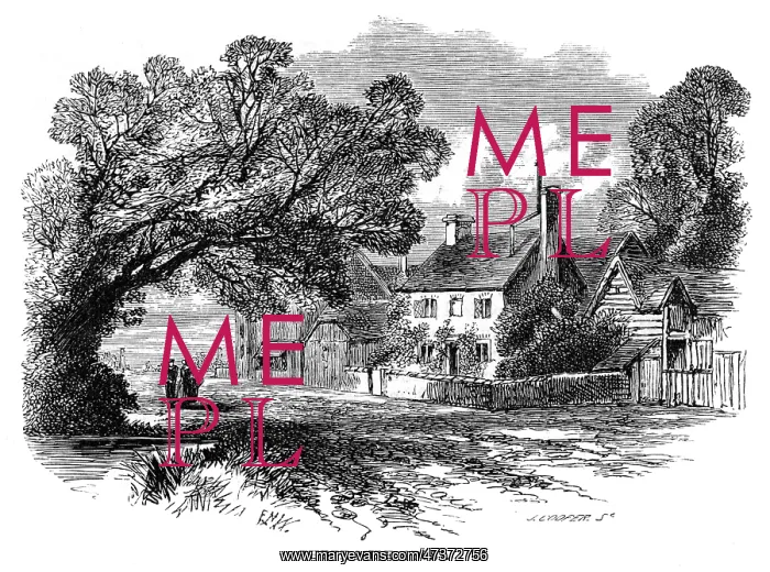 : MISS MITFORD'S HOME : MISS MITFORD'S HOME