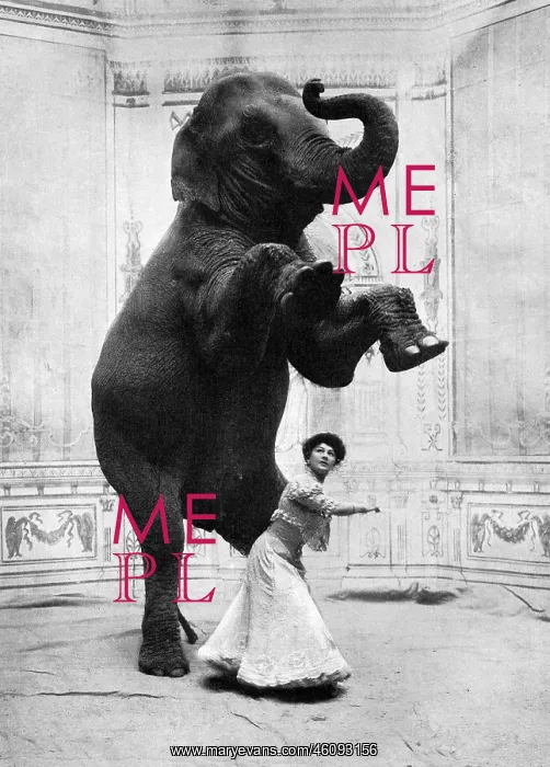 : Miss Orford and her performing elephant : Miss Orford and her performing elephant