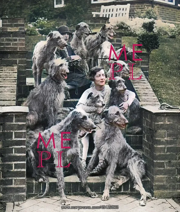 : Miss Richmond and her deerhounds : Miss Richmond and her deerhounds