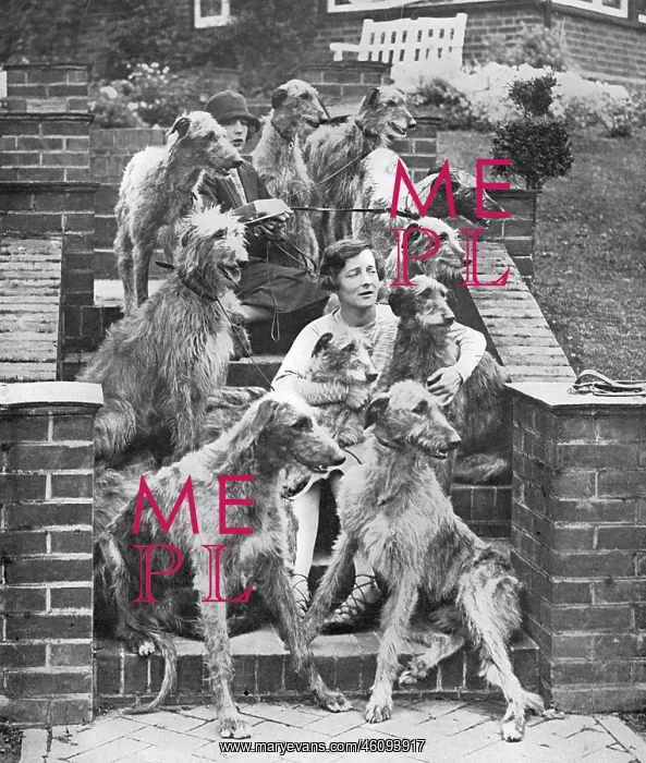 : Miss Richmond and her deerhounds : Miss Richmond and her deerhounds