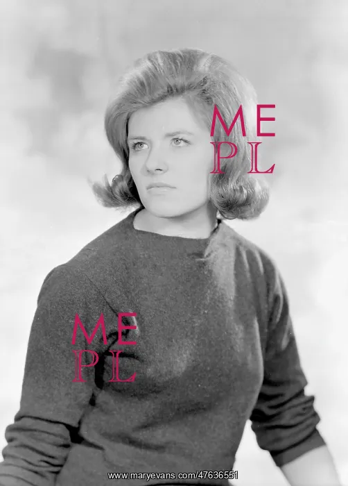  : Miss Suzanne Phillips