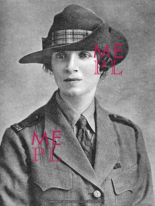 : Miss Yvonne Fitzroy : Miss Yvonne Fitzroy