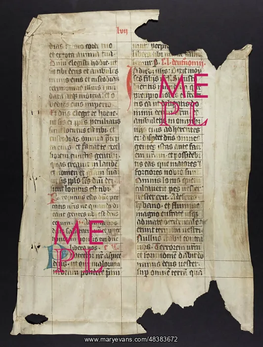 : Missal (Fragment) : Missal (Fragment)