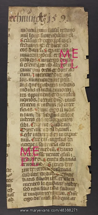 : Missal (Fragment) : Missal (Fragment)
