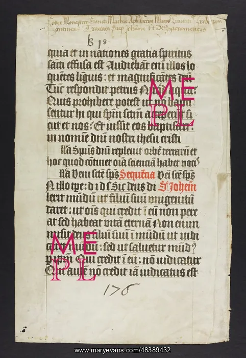 : Missal (Fragment) : Missal (Fragment)
