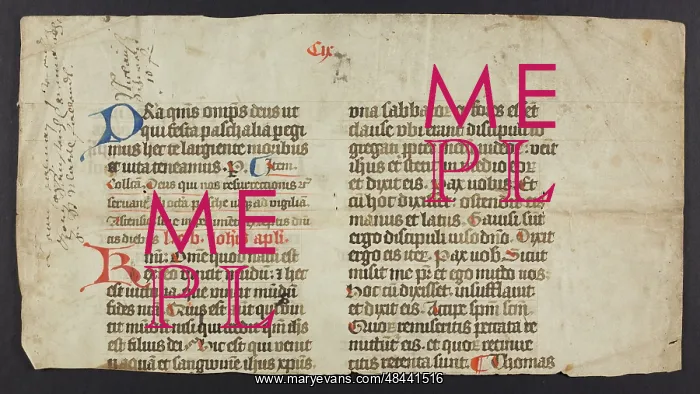 : Missal (Fragment) : Missal (Fragment)
